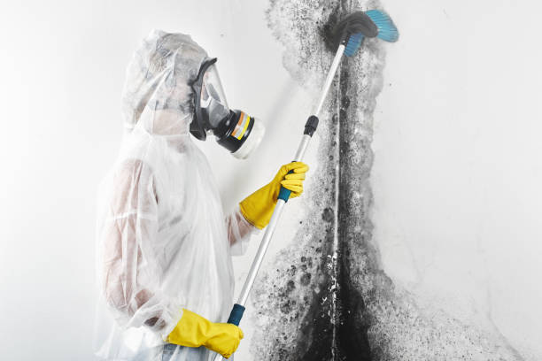 Best Airborne Mold Testing  in North Richmond, CA