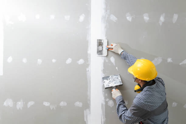 Best Asbestos and Lead Testing During Mold Inspection  in North Richmond, CA