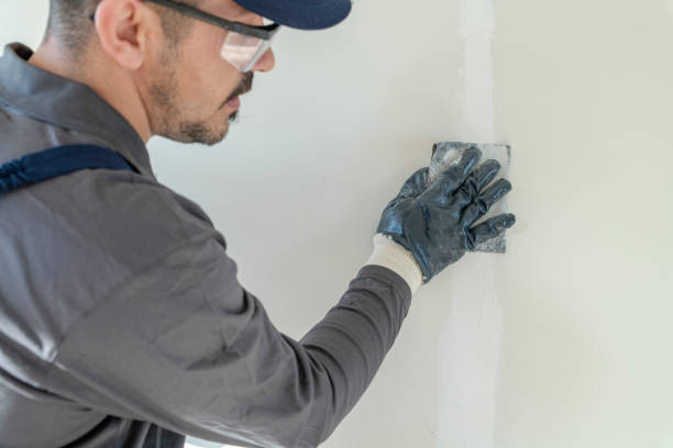 Best Environmental Consulting for Mold Prevention  in North Richmond, CA