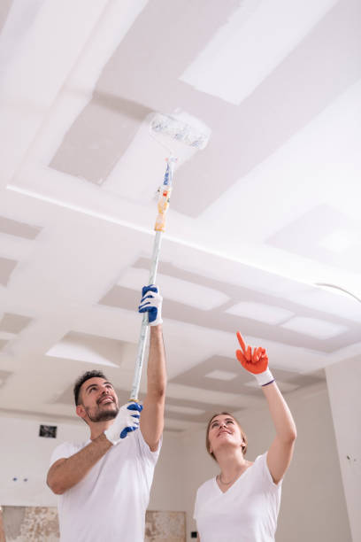 Best Attic Mold Removal  in North Richmond, CA