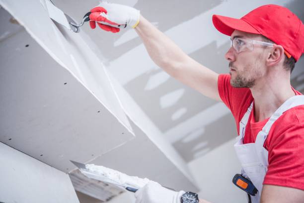 Reliable North Richmond, CA Mold Removal Solutions